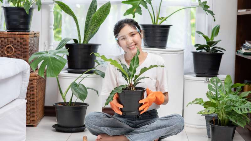Living with Trees