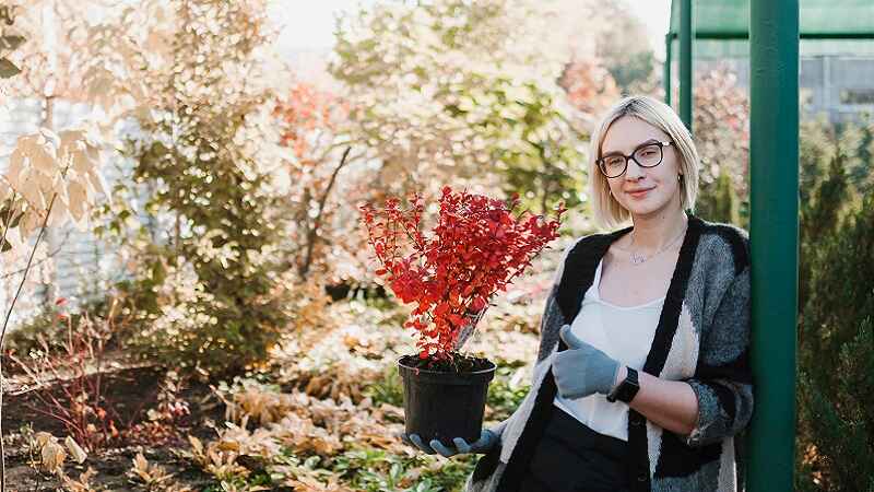 How to Create a Functional and Beautiful Landscape Design